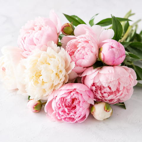 Flowers Gift Card