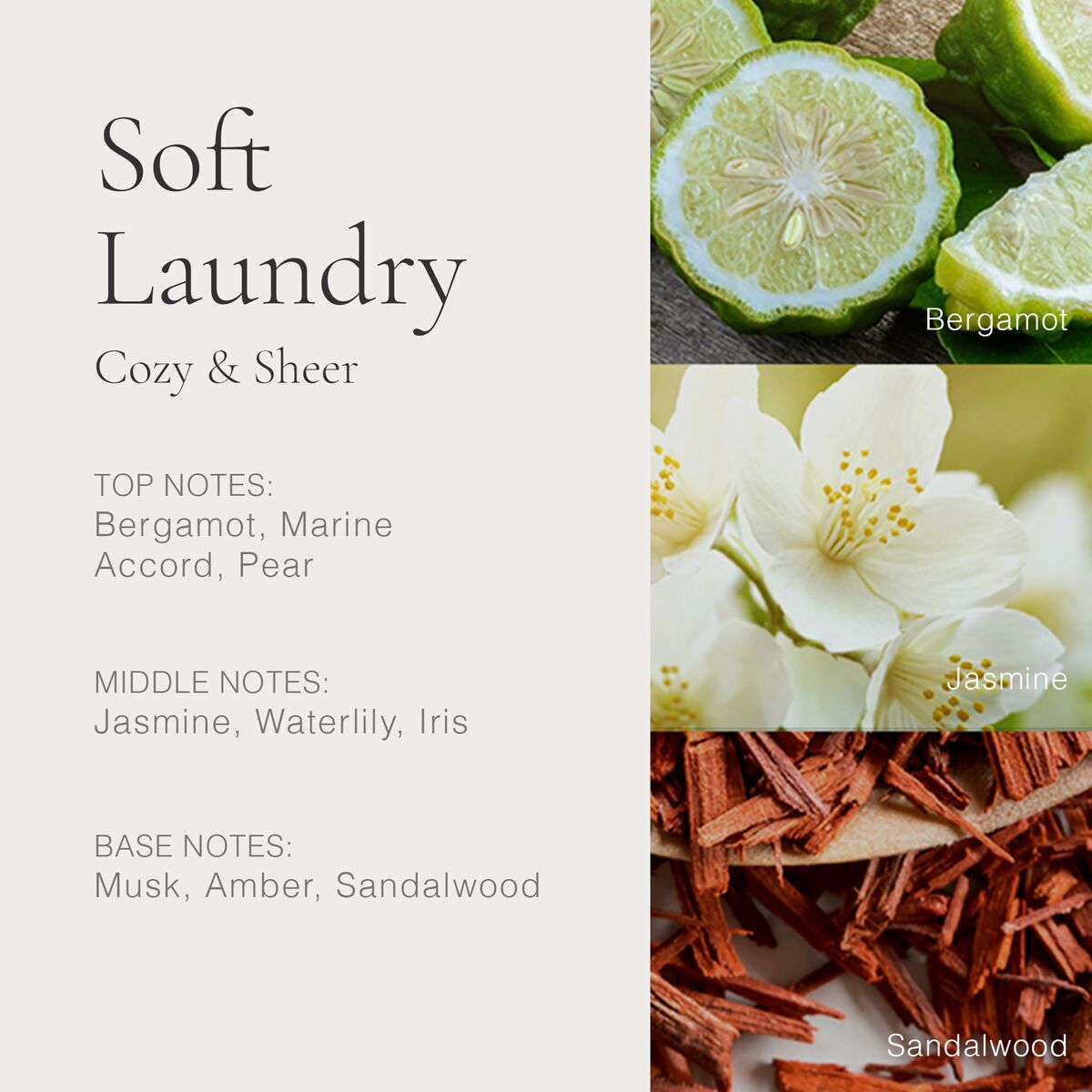 V2HDA3115E668C44A7CE4DBC03DB9DF4458R6863050P4