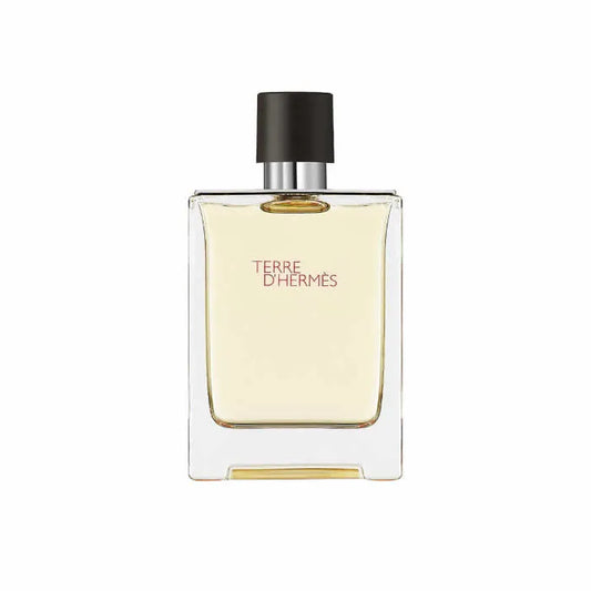 Terre D'Hermes EDT 100 ml