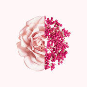 V5HAAC22B406C090608BE8CFC199168D959R6215014P3