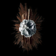 V6HD57BFFBA2AA917DD3D6BAA465CAA4794R5397790P5