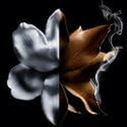 V5HB551176E9735A398D9C45A87597EAFFER6239984P6