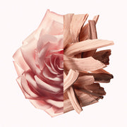 V6H423A9BBCDBA73855D51EB27AF6D251FAR5674696P4