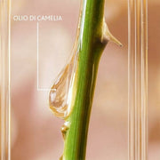 V5H85101D389947B8B428C66C68ED9659BBR5608847P2