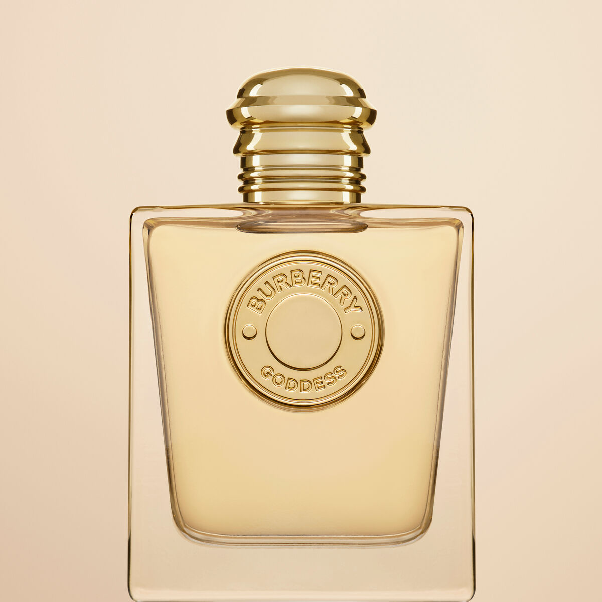 V2HDCDE7CE2B85DEA5C2AF4A2D03CDB5EE5R7327299P9