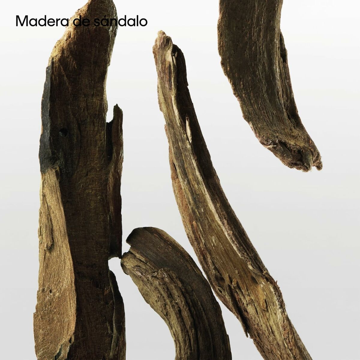 V5HA451631FE9227BB0A437E6188A776E68R5672457P9