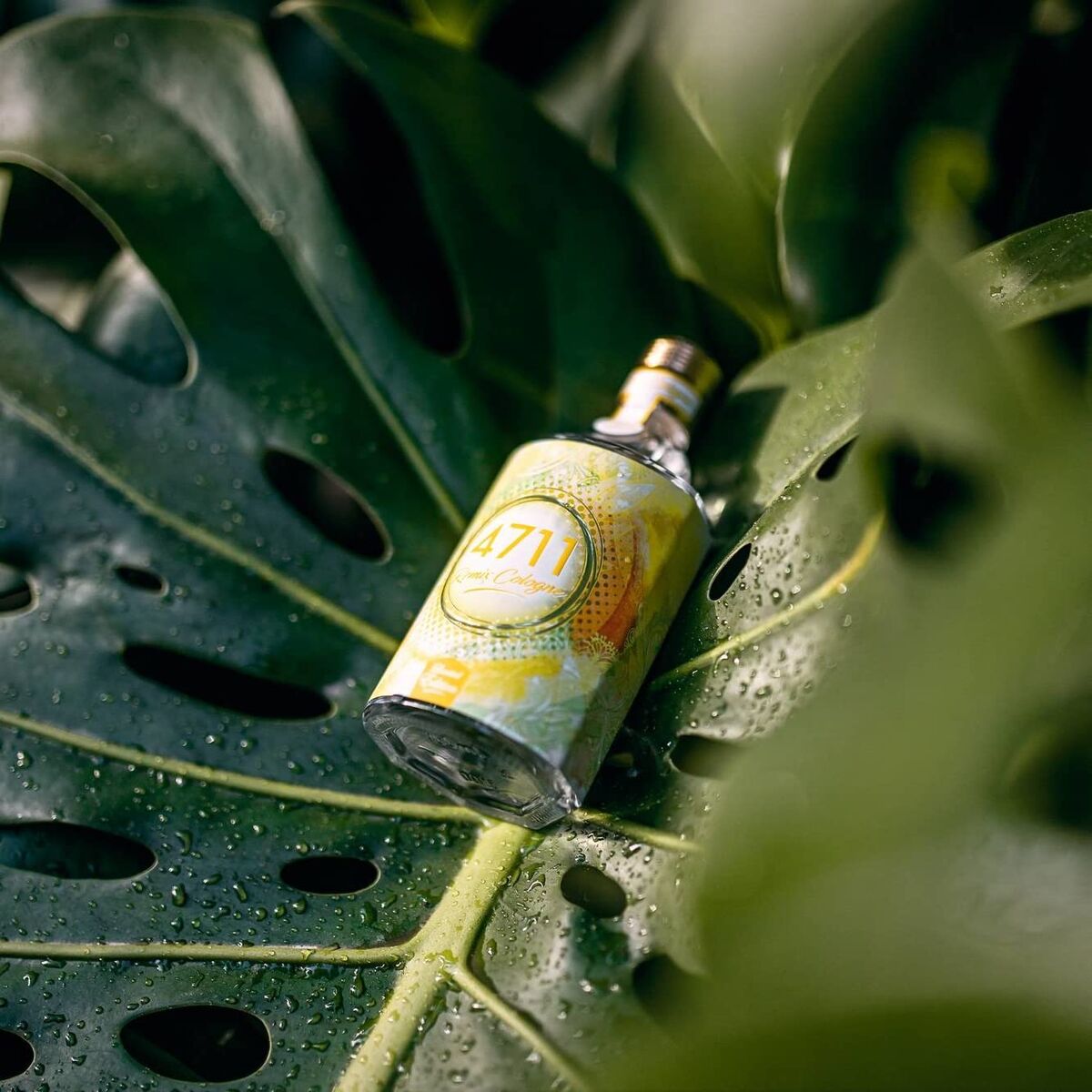 V3H97572DE43F5433C0813C3624216F65EDR7528132P4