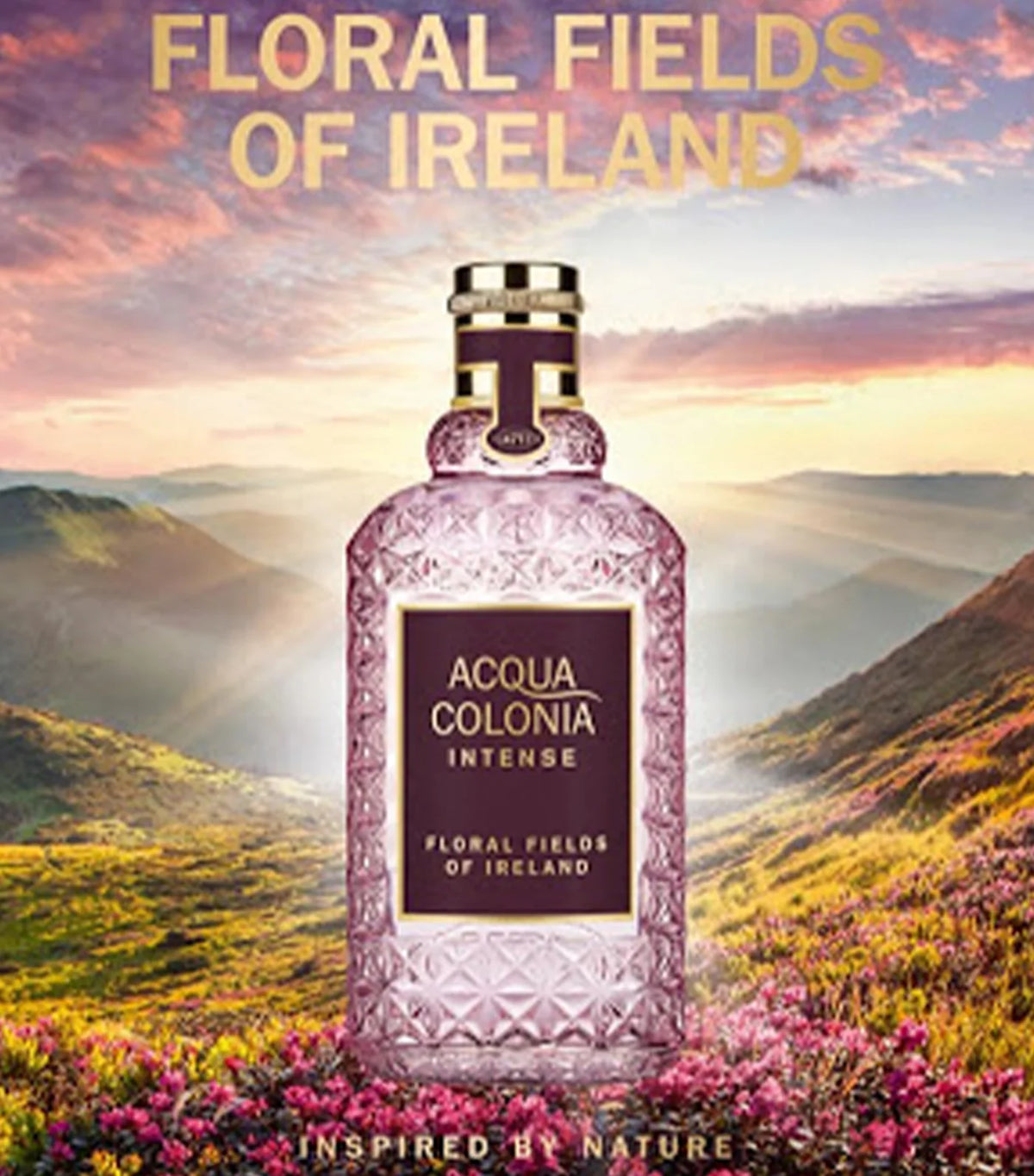 ACQUA COLONIA INTENSE
