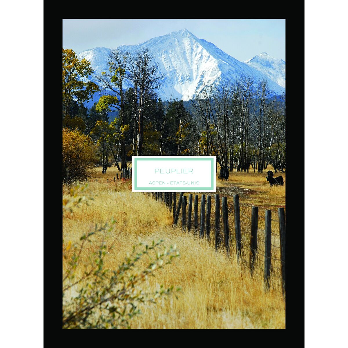 V4HAA91AE32F236F88B155E3F0BD5A60DFFR7423544P2