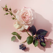 V4HB355700360CC11AA4C8BD788E36A960FR6970217P6