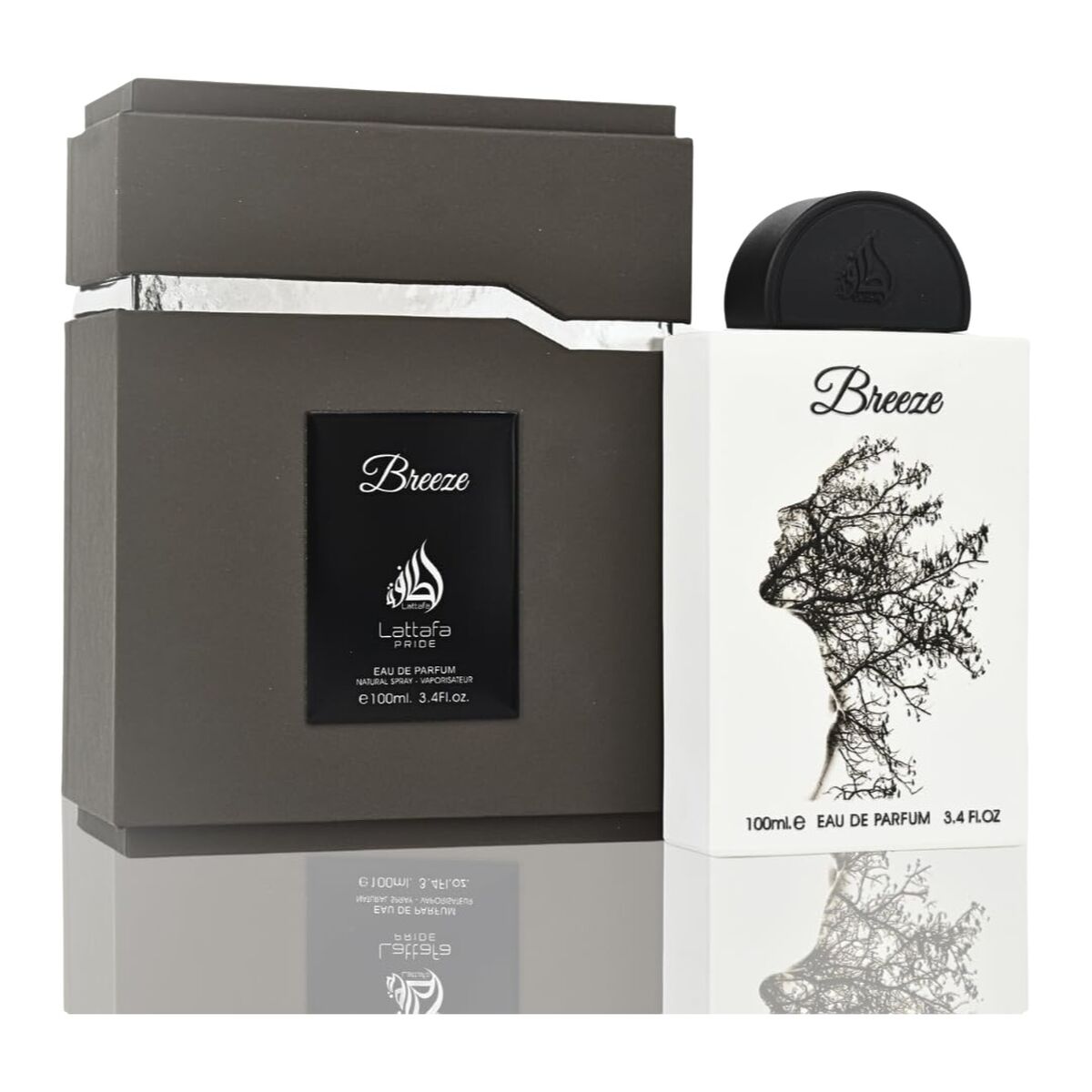 V5H34517EAB6589F59333DEDC1D7EF702C3R5579747P1