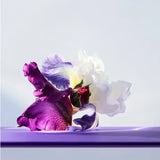 Onmia Amethyste EDT 100ml - Bvlgari