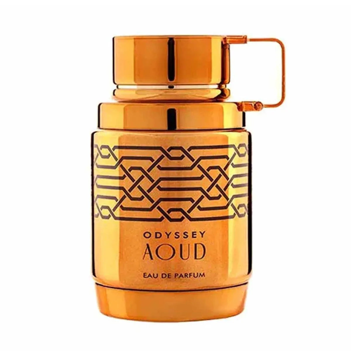 Odyssey Aoud EDP 100ml - Armaf