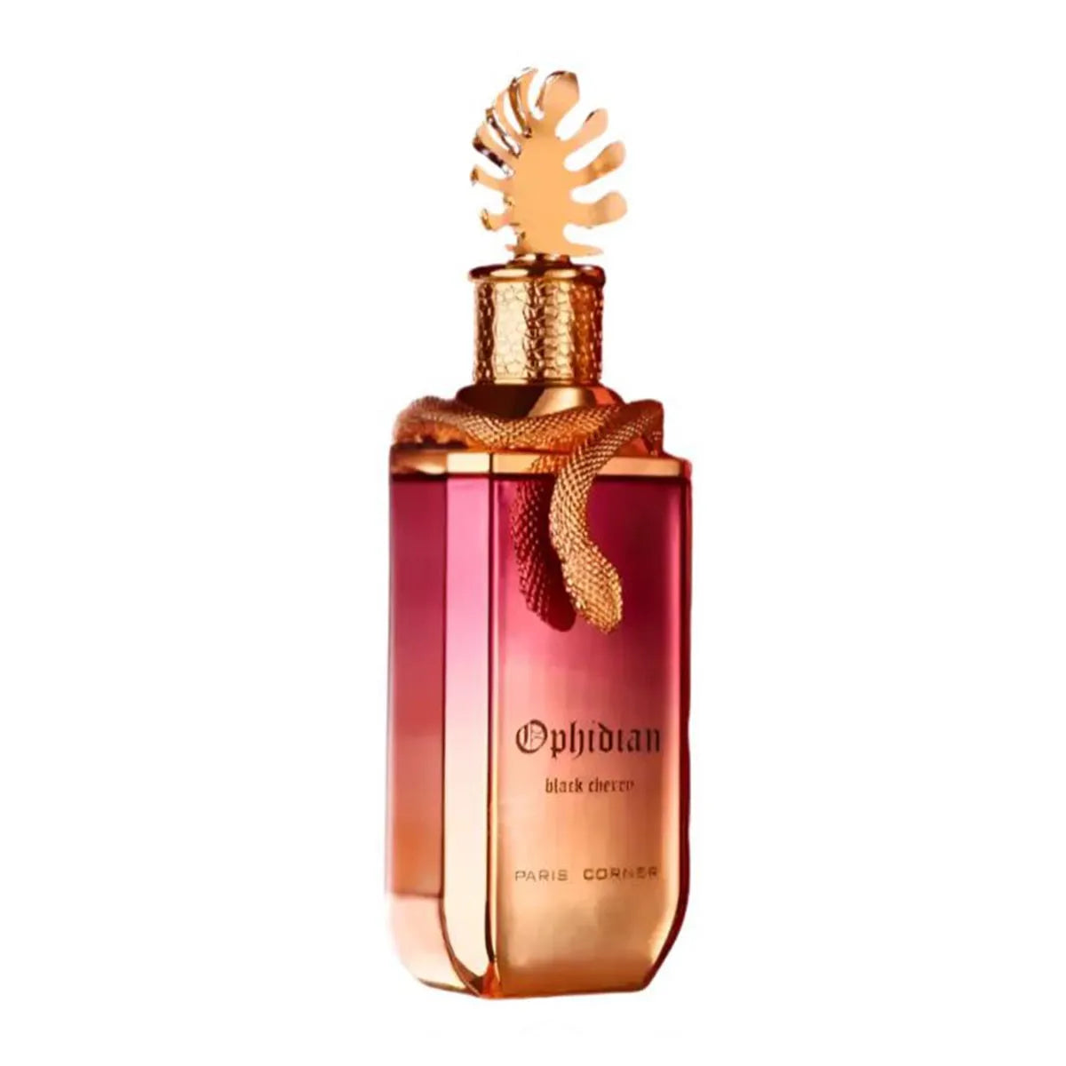 Black Cherry EDP 100ml - Paris Corner