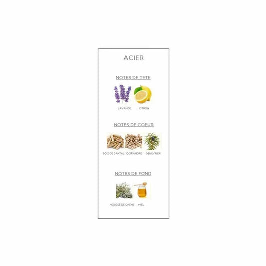 Masculin Acier Eau de Toilette 100ml - Bourjois